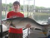 (07/10/2014) - Nice Striped Bass